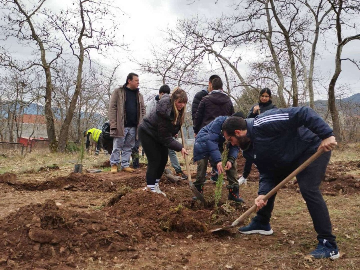 Φοιτητές φυτεύουν 57 κυπαρίσσια δέντρα στα Τέμπη για να τιμήσουν τα τραγικά θύματα και να προωθήσουν την περιβαλλοντική ευαισθητοποίηση.