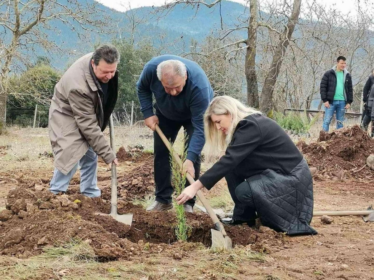 Φοιτητές φυτεύουν 57 κυπαρίσσια δέντρα στα Τέμπη για να τιμήσουν τα τραγικά θύματα και να προωθήσουν την περιβαλλοντική ευαισθητοποίηση.