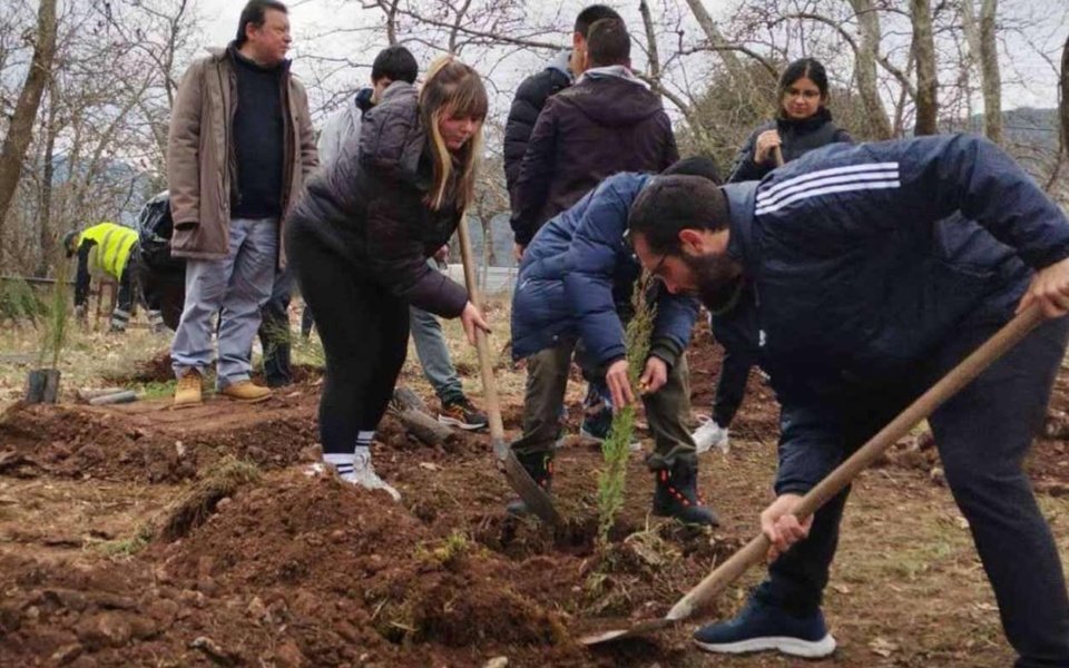 Φοιτητές φυτεύουν 57 κυπαρίσσια δέντρα στα Τέμπη για να τιμήσουν τα τραγικά θύματα και να προωθήσουν την περιβαλλοντική ευαισθητοποίηση.>