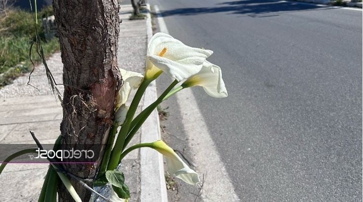 Συνεργάτης θρηνεί «Έχασα τη γυναίκα μου, δεν μπορώ να το πιστέψω»: Τραγικός θάνατος της 22χρονης πρωταθλήτριας συγχρονισμένης κολύμβησης Πέννυ