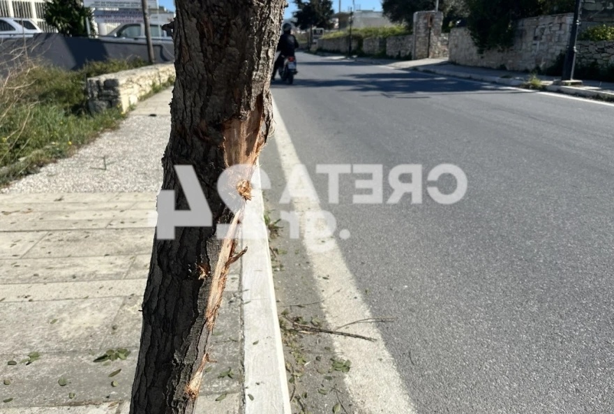 Τραγικός θάνατος 22χρονης συγχρονισμένης κολυμβήτριας στο Ηράκλειο