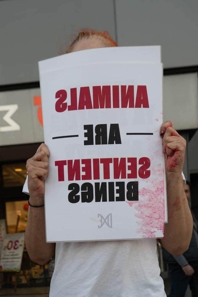Ακτιβιστές για τα δικαιώματα των ζώων διαμαρτύρονται για την πασχαλινή σφαγή σε σούπερ μάρκετ του Πειραιά