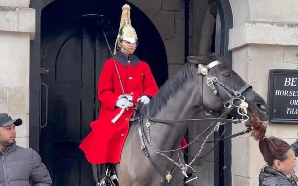 Άλογο βασιλικής φρουράς δαγκώνει την κοτσίδα τουρίστα: Βίντεο δείχνει ότι αγνοήθηκε το προειδοποιητικό σήμα>