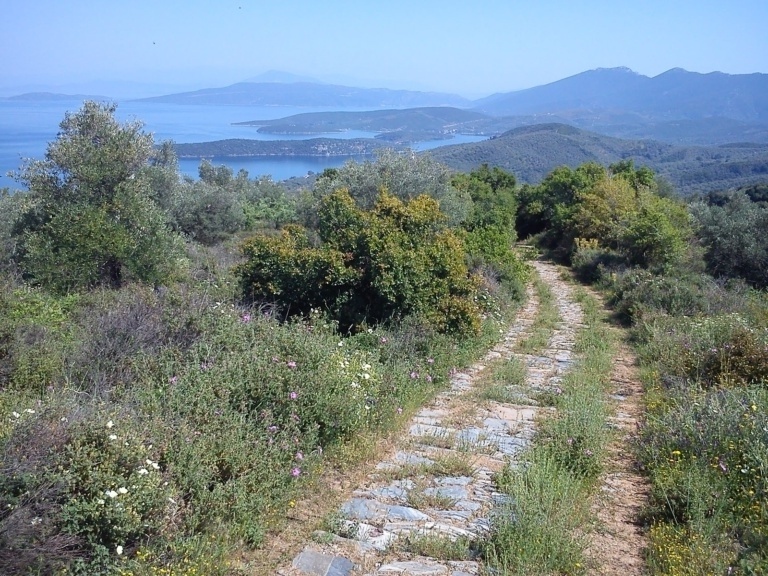 Δείτε το Λαύκο Πηλίου: Ένα χωριό χωρίς αυτοκίνητο με μουσεία, πέτρινα σιντριβάνια και ένα θρυλικό αρτοποιείο και καφετέρια