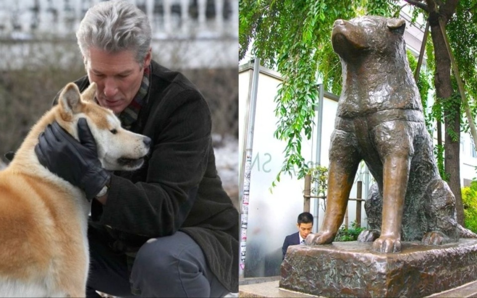 Η αληθινή ιστορία του Χάτσικο: Ο πιο πιστός σκύλος όλων των εποχών>