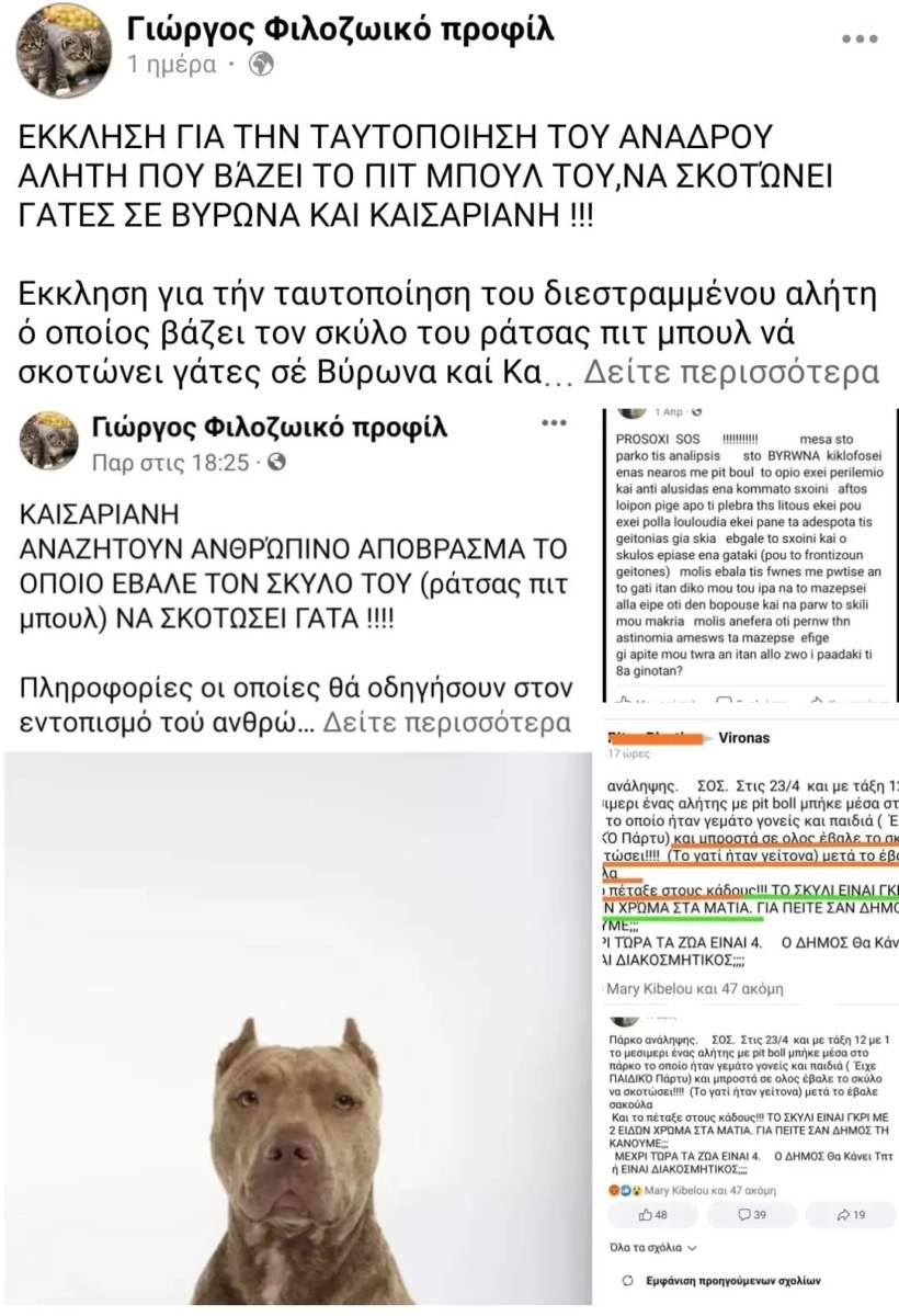 Ιδιοκτήτης πίτμπουλ δίνει εντολή σε σκύλο να σκοτώσει γάτες στα πάρκα Καισαριανής και Βύρωνα