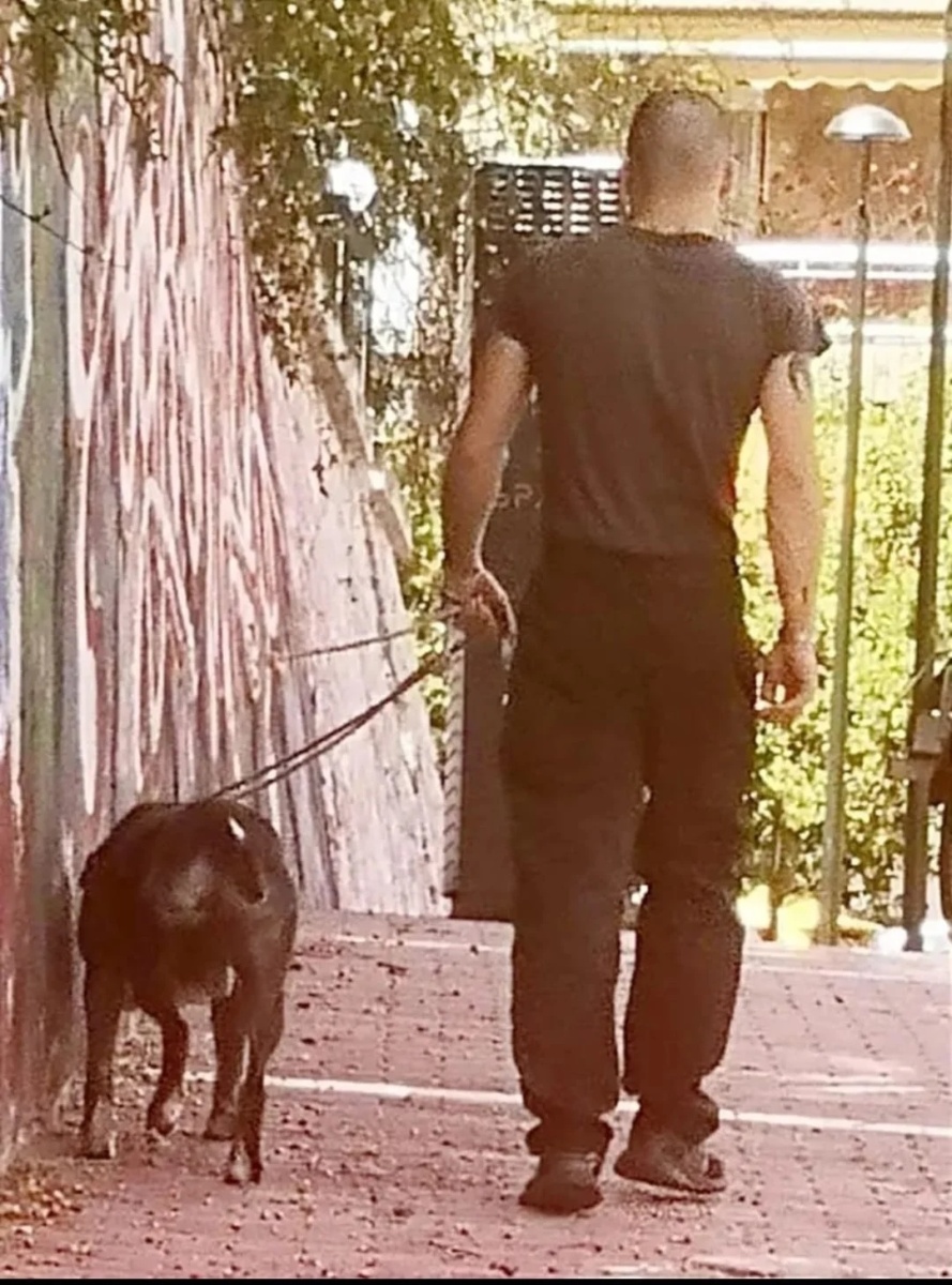 Ιδιοκτήτης πίτμπουλ δίνει εντολή σε σκύλο να σκοτώσει γάτες στα πάρκα Καισαριανής και Βύρωνα