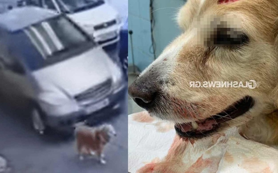 Ρωσίδα σε πασχαλινή κράτηση για χτύπημα σκύλου με αυτοκίνητο>
