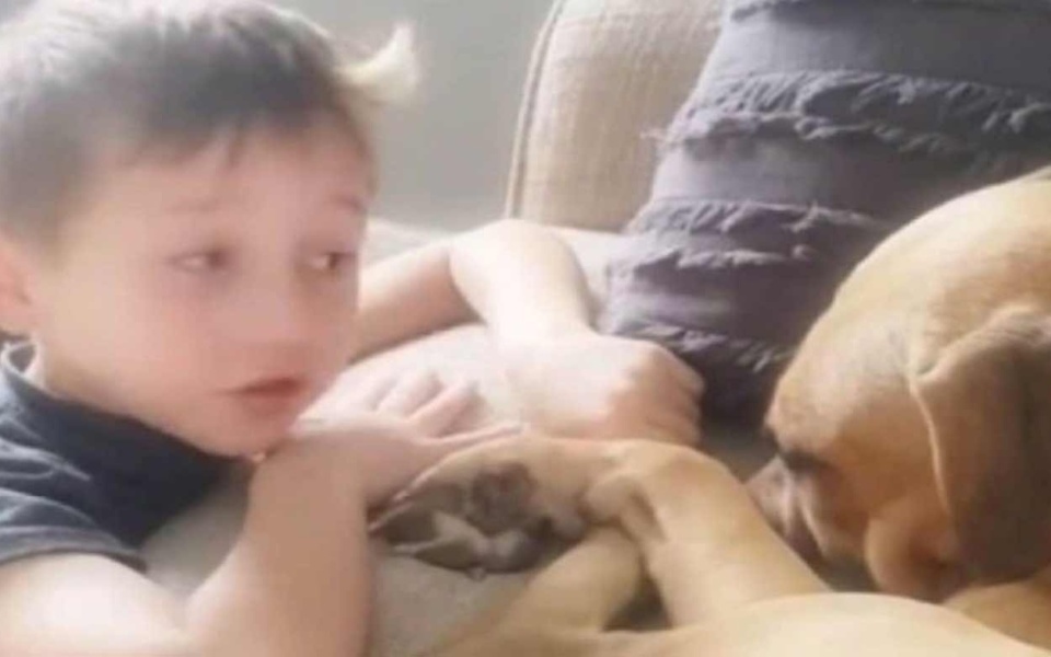 Συγκινητικό βίντεο: 7χρονος παρηγορεί κακοποιημένο σκύλο που μόλις υιοθετήθηκε και γίνεται viral>