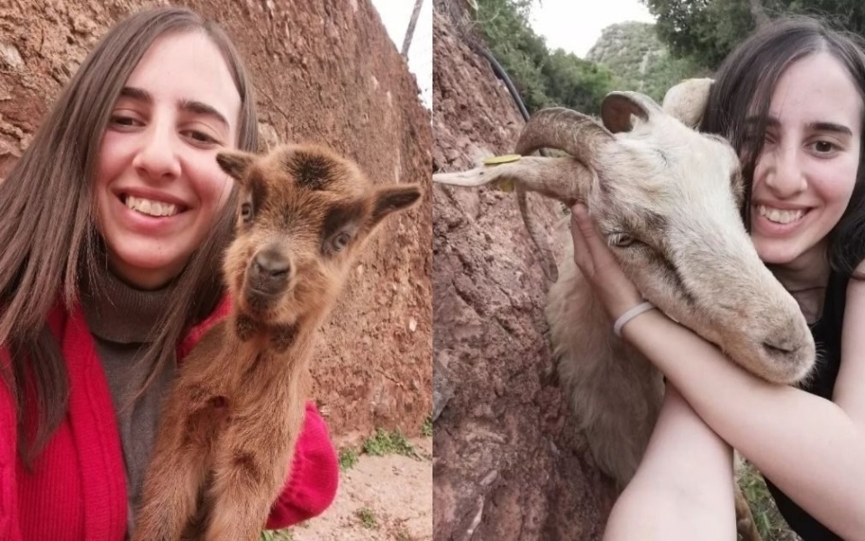 Τα viral TikTok βίντεο του 22χρονου κτηνοτρόφου: Ένα τέλειο μείγμα κτηνοτροφίας και ψυχαγωγίας – Παρακολουθήστε το Tick Tock!>