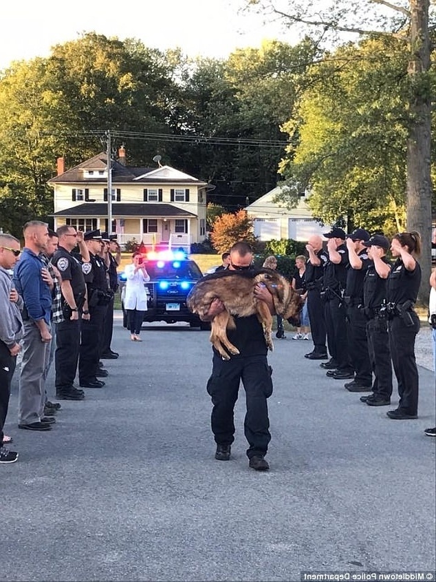 Εγκάρδιος αποχαιρετισμός: Αστυνομικοί αποχαιρετούν τον σκύλο του συναδέλφου τους που χάθηκε από καρκίνο