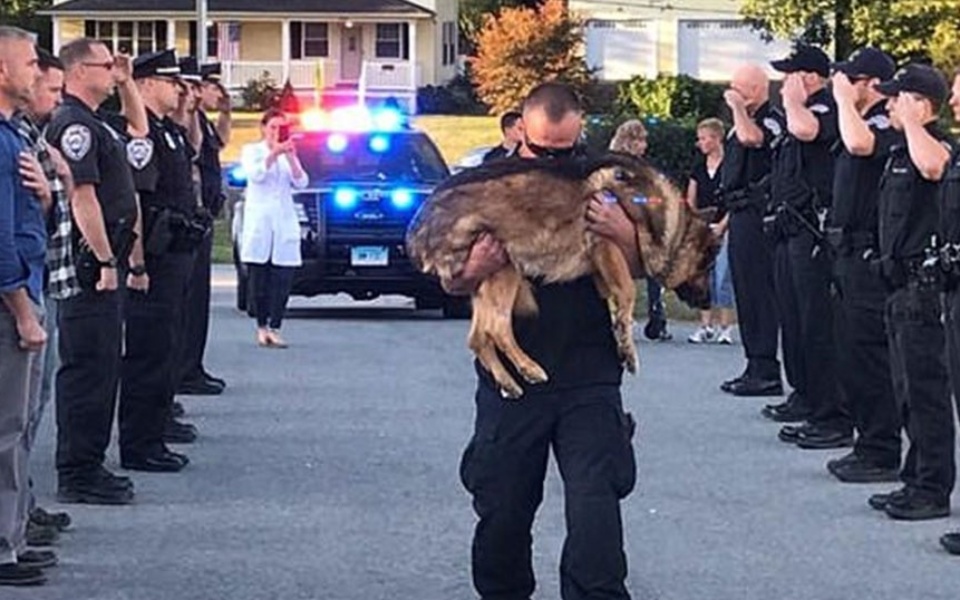 Εγκάρδιος αποχαιρετισμός: Αστυνομικοί αποχαιρετούν τον σκύλο του συναδέλφου τους που χάθηκε από καρκίνο>