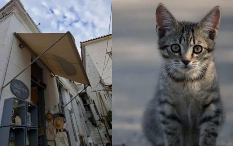 Γατάκι βρέθηκε τραυματισμένο – Δείτε τη φωτογραφία: Πρόστιμο 15.000 ευρώ σε 55χρονο για κακοποίηση γάτας στην Ύδρα>