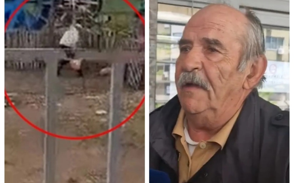 Ισχυρισμός αθωότητας, δικαστική διαδικασία και αντιδράσεις: Το αμφιλεγόμενο περιστατικό με τον σκύλο ενός 70χρονου άνδρα στη Θεσσαλονίκη>