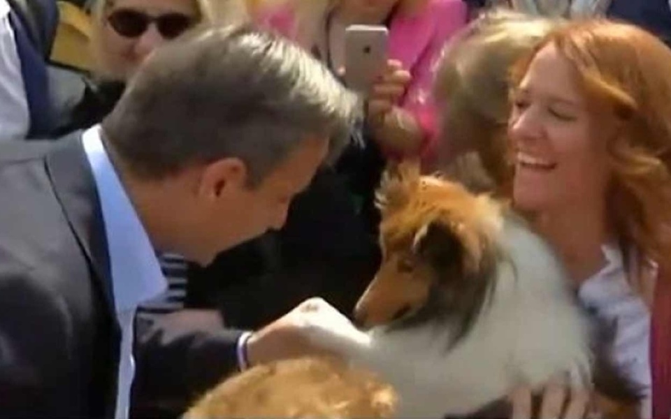 Κυριάκος Μητσοτάκης: Αξιομνημόνευτη χειραψία σκύλου & εμπειρία ψηφοφορίας>
