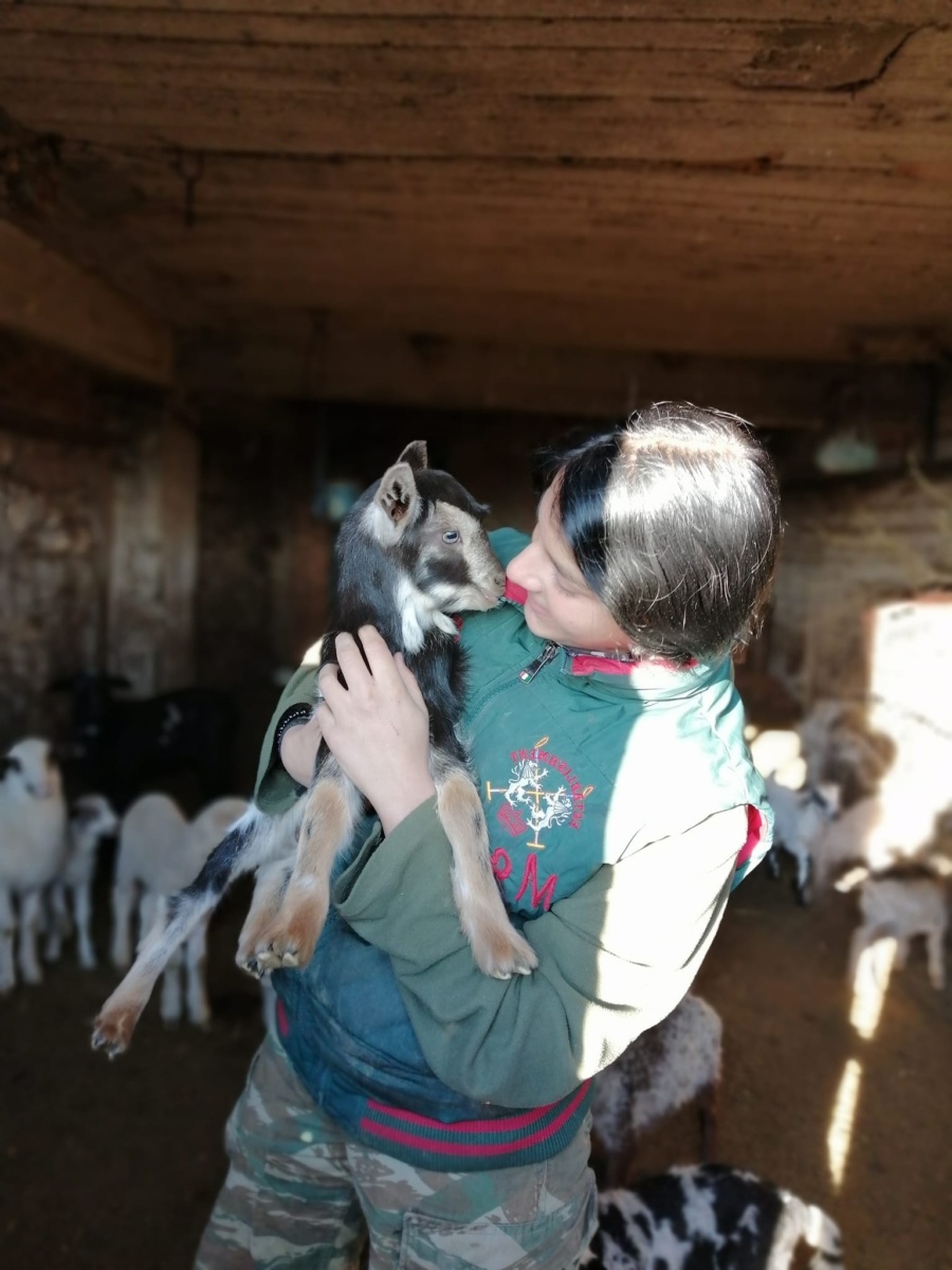 Maria Retsa: Εμπνευσμένος 20χρονος αγρότης που βόσκει 100 πρόβατα και κατσίκια στην Εύβοια