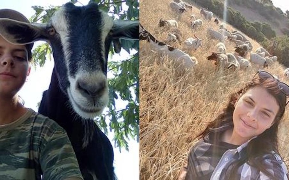 Maria Retsa: Εμπνευσμένος 20χρονος αγρότης που βόσκει 100 πρόβατα και κατσίκια στην Εύβοια>