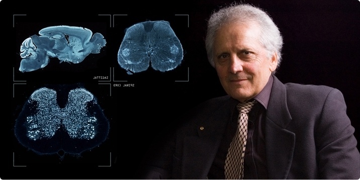 Νευροεπιστήμονας Γιώργος Παξινός: Ο ρόλος του εγκεφάλου στην ανθρώπινη ύπαρξη