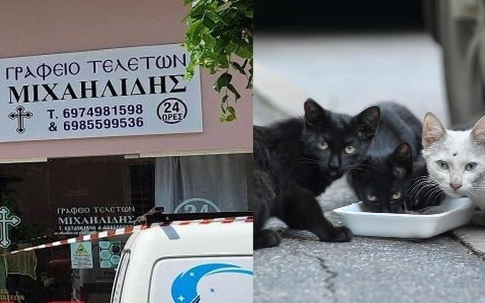 Τραγικό περιστατικό στη Θεσσαλονίκη: Άνδρας ξυλοκοπήθηκε μέχρι θανάτου επειδή τάιζε αδέσποτες γάτες – Ο γιος του θύματος μιλάει>