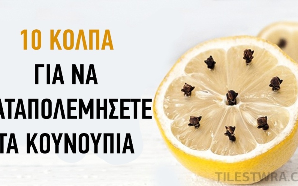 Αιθέρια έλαια, φυτά, λεμόνι και πολλά άλλα!: 10 έξυπνα κόλπα για να καταπολεμήσετε φυσικά τα κουνούπια>