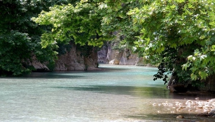 Δείτε τη Γλυκή Θεσπρωτία: Ένα ελληνικό στολίδι του Ρίβερσαϊντ