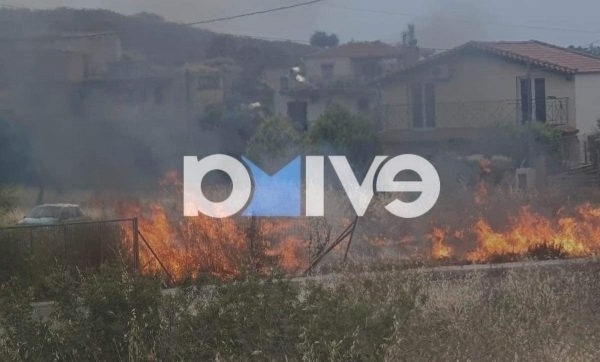 Εύβοια Πυρκαγιά: Οι φλόγες απειλούν τον οικισμό Χαραυγή, η Πυροσβεστική κινητοποιήθηκε