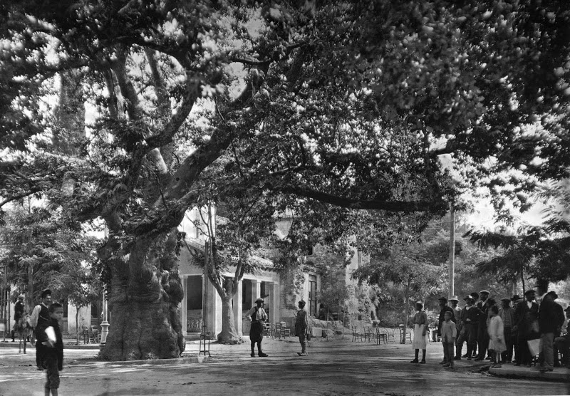 Εξερευνώντας την Παλιά Ελλάδα: 50 σπάνιες φωτογραφίες από την Αθήνα, τα Μετέωρα, το Ναύπλιο και πολλά άλλα!