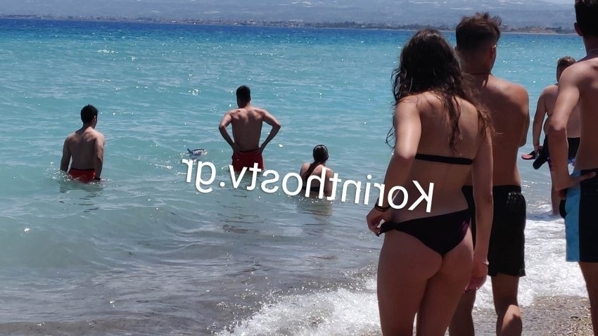 Τραγική απώλεια: Αποπροσανατολισμένο δελφίνι ξεβράστηκε νεκρό στην Κορινθία | Δείτε φωτογραφίες