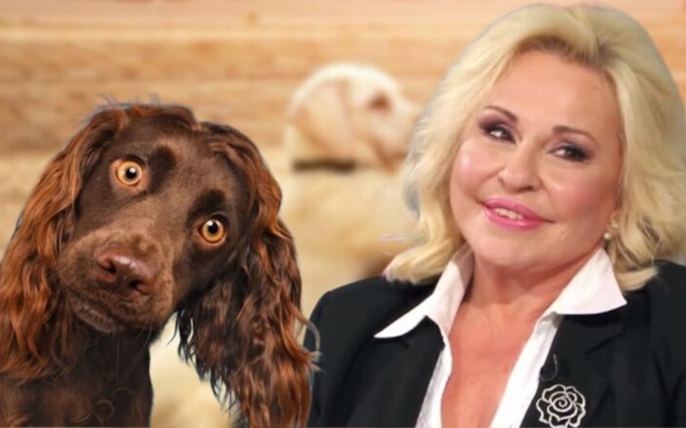 Ξεκαρδιστικές ατυχίες: Το χάπι του σκύλου της Μπέσσυς Αργυράκη και το μπισκότο-έκπληξη της Κατερίνας Καινούργιου>