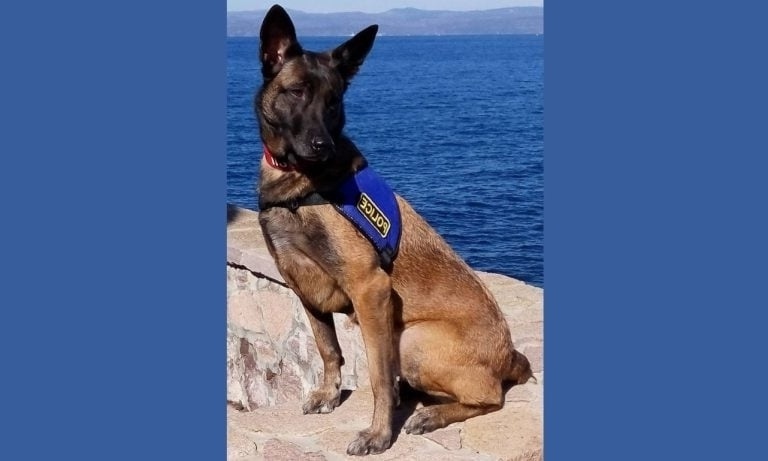 Αποχαιρετισμός στον αστυνομικό σκύλο Mirka: Η υπηρεσία στο Β. Αιγαίο φτάνει στο τέλος της