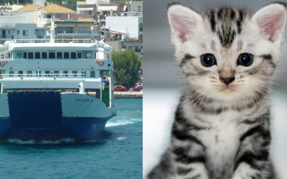 Θανάσης Χιώτης: Βούτηξε χωρίς κανέναν δισταγμό για να σώσει αβοήθητο γατάκι>