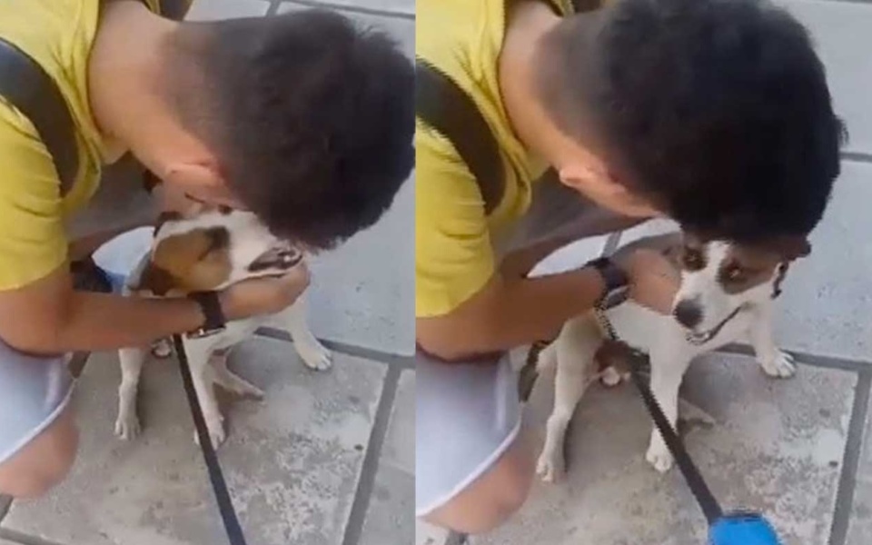 Συναισθηματική επανένωση: Σκύλος επανενώνεται με τον ιδιοκτήτη του στη Θεσσαλονίκη μετά από 5 χρόνια>